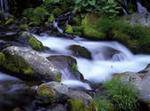 tkf001_805102