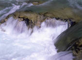 tkf001_805110