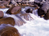 tkf001_805113