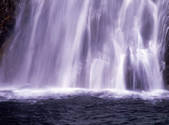tkf001_805114