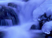 tkf001_805133