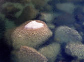 tkf001_805142