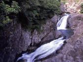 tkf001_805172