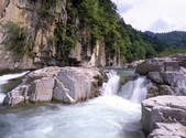 tkf001_805176