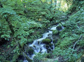 tkf001_805180