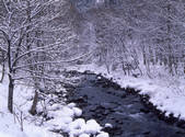 tkf001_805182