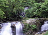 tkf001_805186