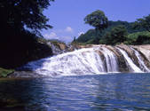 tkf001_805191
