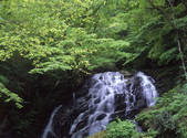 tkf001_805200