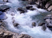 tkf001_805210