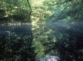 tkf001_805213