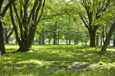 tkf001_805220