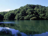 tkf001_805232