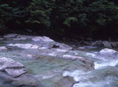 tkf001_805244