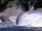 tkf001_805255