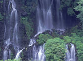 tkf001_805266