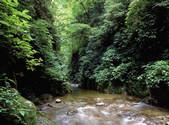 tkf001_805308