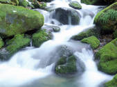 tkf001_805329