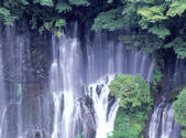 tkf001_805337