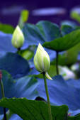 tkf001_805341