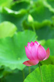 tkf001_805342