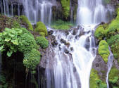 tkf001_805361