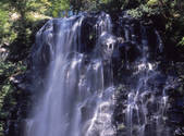 tkf001_805374