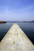 tkf001_805377