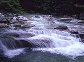 tkf001_805383