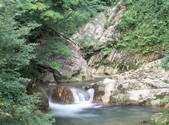 tkf001_805391