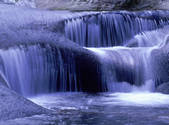tkf001_805395