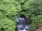 tkf001_805402