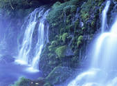 tkf001_805404