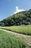 tkf001_805416