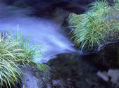 tkf001_805418