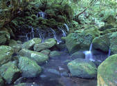 tkf001_805426