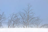 tkf001_805427