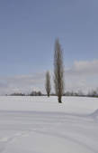tkf001_805429