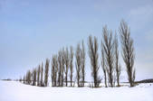 tkf001_805433