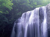 tkf001_805455