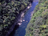 tkf001_805460