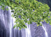 tkf001_805463