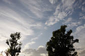 tkf001_805471