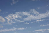 tkf001_805476