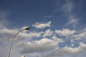 tkf001_805479