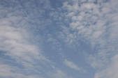 tkf001_805490