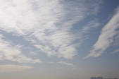 tkf001_805491
