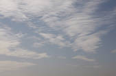 tkf001_805492