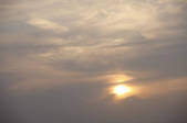 tkf001_805498