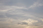 tkf001_805499
